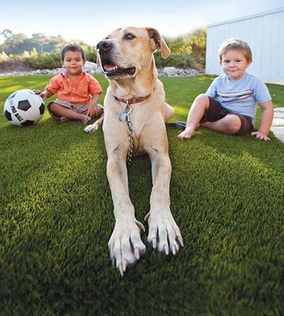 Artificial Turf, Synthetic Grass, Inland Empire